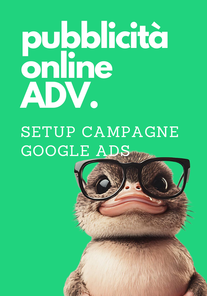 SETUP CAMPAGNE PUBBLICITARIE GOOGLE ADS