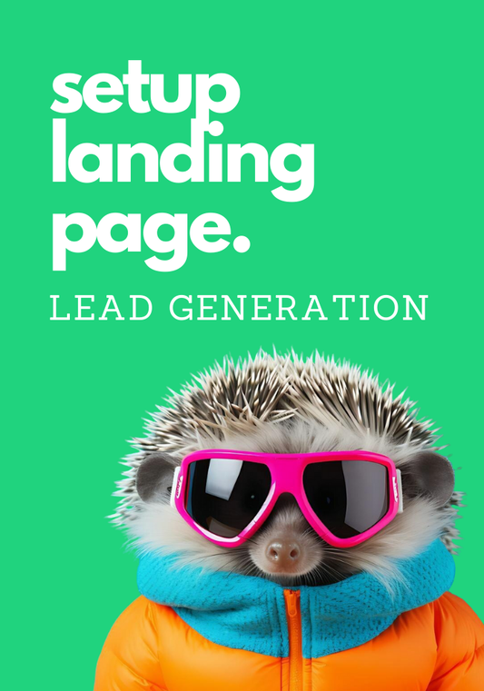 SETUP LANDING PAGE LEAD GENERATION